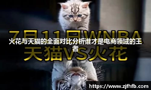 球王会火花与天猫的全面对比分析谁才是电商领域的王者